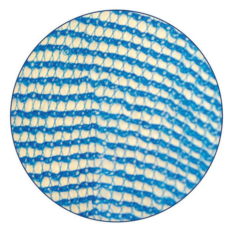 Retina per capelli - detectabile